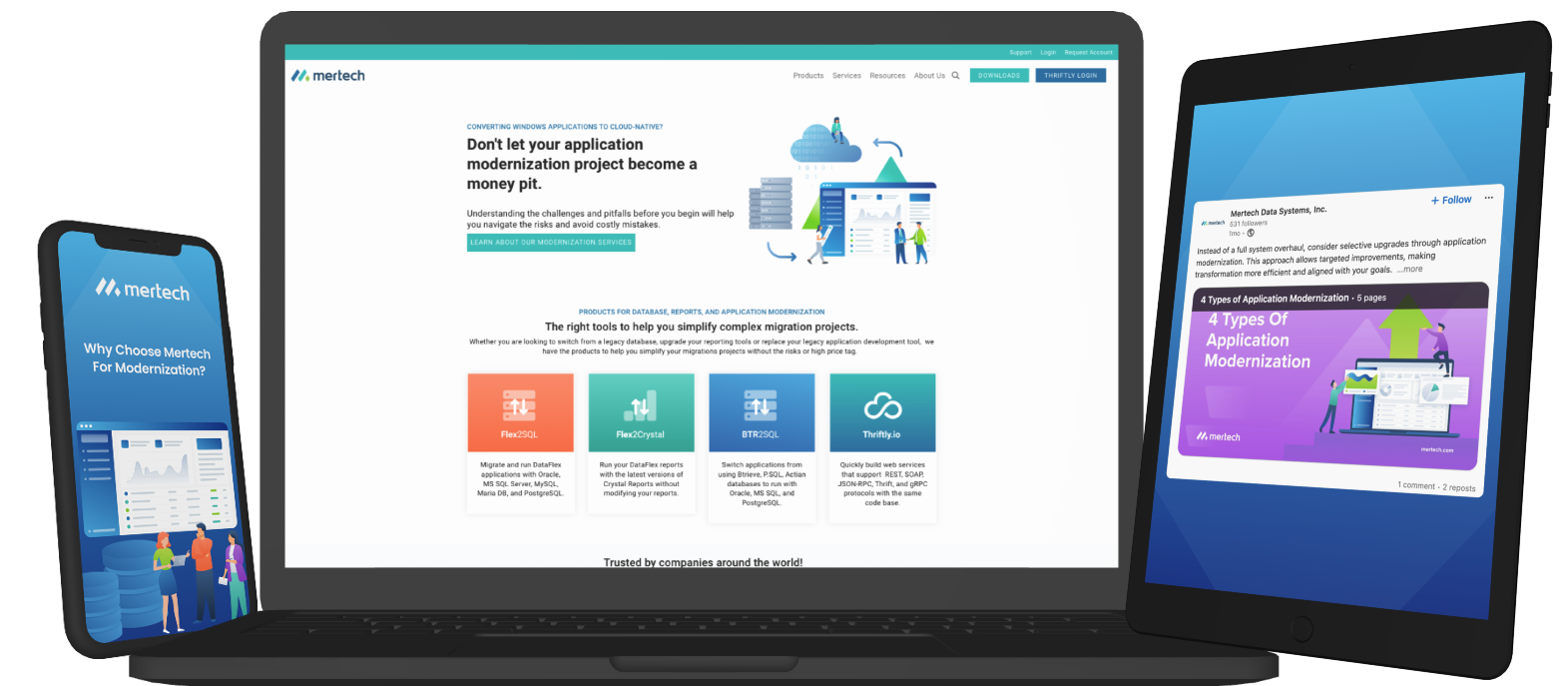 Mertech-solution