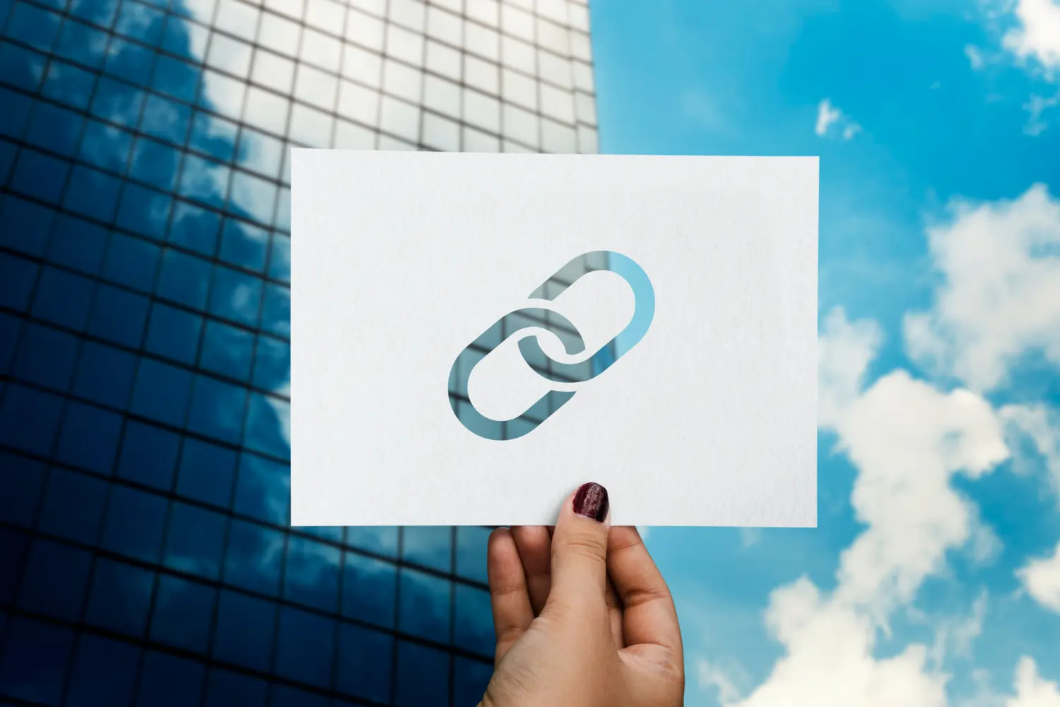 white label link building